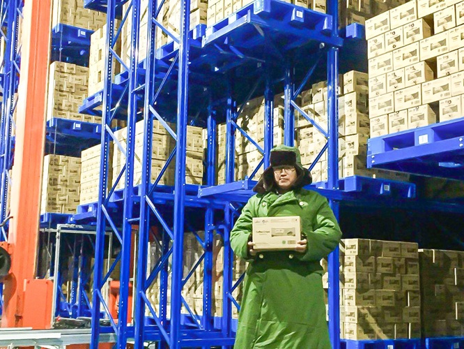 Крановый штабелер ASRS на складе с холодильной камерой